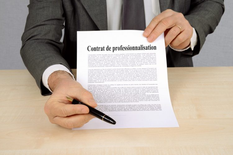 contrat-professionnalisation-consultant-autonome